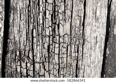 Surface eroded by time,,Old wood detail background.