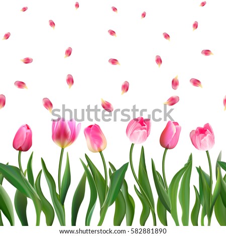 Seamless pattern with realistic pink tulips flowers and petals. Vector illustration. Ornament for fabric, wallpaper, postcards, cards, etc.