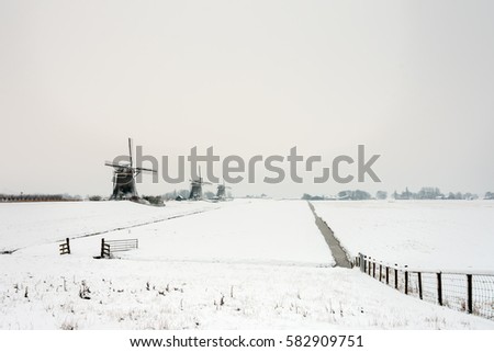 Dutch landscape in the winter. 