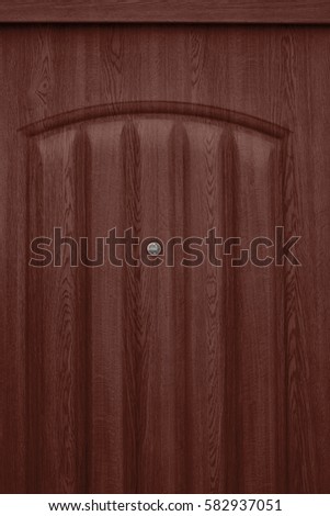 Isolated input metal door and peephole: background and texture