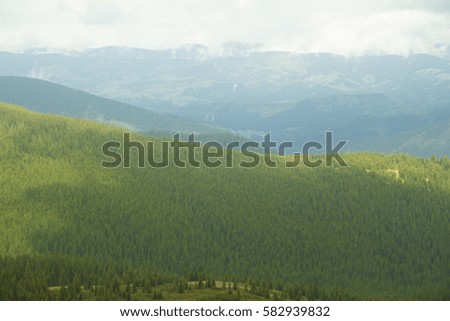 Mountain chain in The Carpathians (Ukraine). Beautiful mountain forest landscape before storm. Amazing Green forest in clouds.