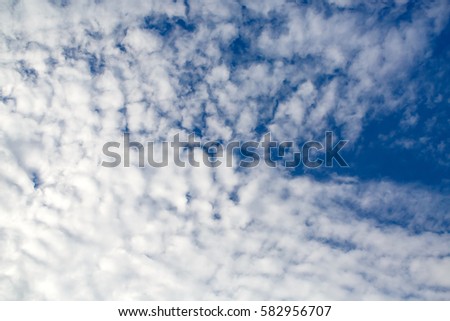 Sky panoramic with fancy curly clouds highlighted by the sun. Heavenly background in a highly patterned top. Free space atmospheric flight and freedom. 