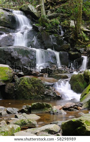 Laurel Falls Cascade in Great Smoky Mountains National Park