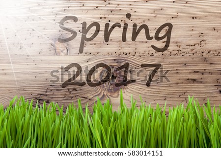 Bright Sunny Wooden Background, Gras, Text Spring 2017