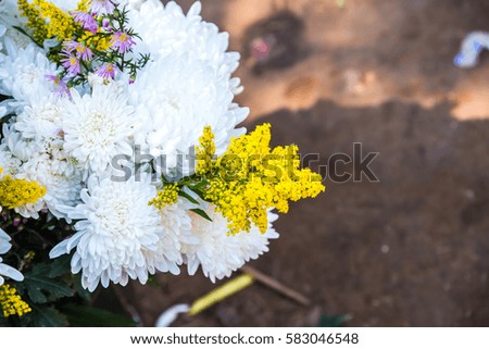 Closeup of fresh flowers, Thailand.