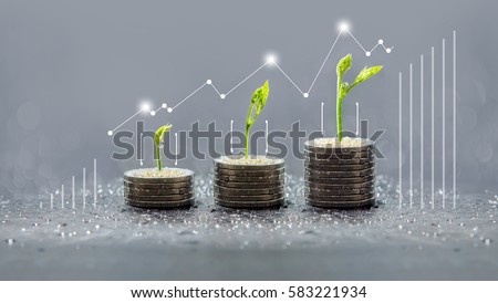 Tree growing on coins, Business save and growing finance, piles of coins, csr, trees growing on stack of coins, saving money, green graph, Concept of money