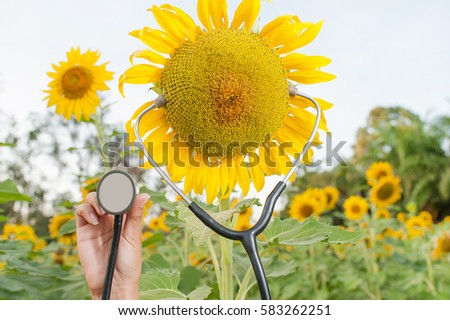 Sunflower medical wearing stethoscope with treatment of children services