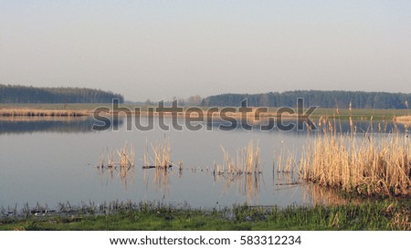 Lakeside spring landscape in early morning