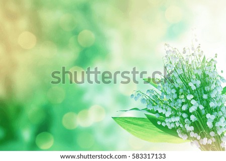 Spring landscape. flowers lily of the valley