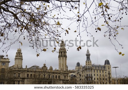 tree and leaves foreground Europe buildings with bad weather in Barcelona
