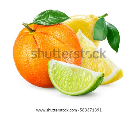 Citrus Fruit. Composition with leaves isolated on white background. Orange, lemon, lime. Royalty-Free Stock Photo #583371391