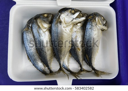 Stack of dried mackerel fish at fish market jetty. For seafood, food, kitchen, texture and background.
