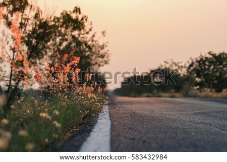 Meadow flowers, beautiful fresh morning in soft warm light. Vintage autumn landscape blurry natural background. Royalty-Free Stock Photo #583432984