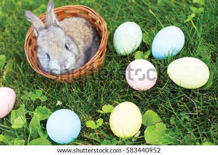 Little Easter bunny sitting in a wicker basket with eggs on the spring meadow