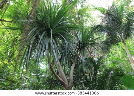 zoo and a garden with palm trees