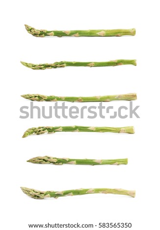 Single spear of the green asparagus isolated over the white background, set of six different foreshortenings