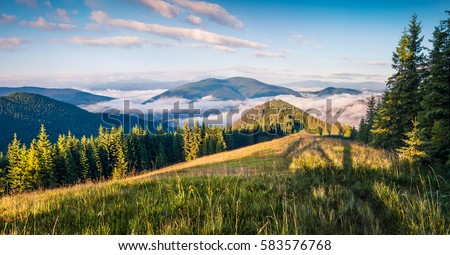 Bright summer morning in the Carpathian mountains. Picturesque outdoor scene on the mountain valley in June, Ukraine, Tatariv village location, Europe. Artistic style post processed photo.