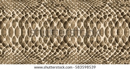 Snake skin pattern texture repeating seamless. Vector. Texture snake. Fashionable print. fashionable and stylish background. vector. python snake