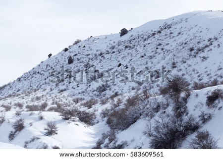 snowy mountains in nature