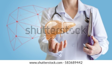 Doctor shows human liver.