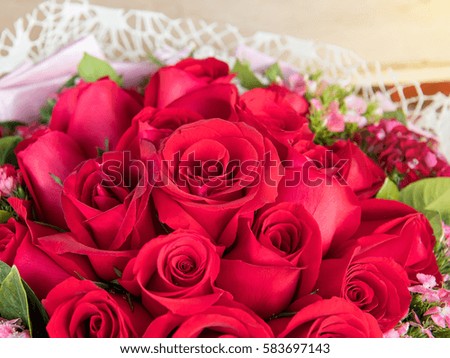 red rose background ,natural texture