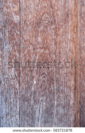 Wood textured background with wood pattern