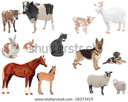clip art set of domestic animals with cubs