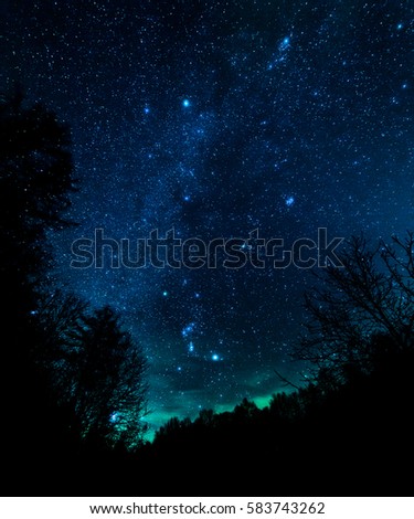 Starry night in forest 