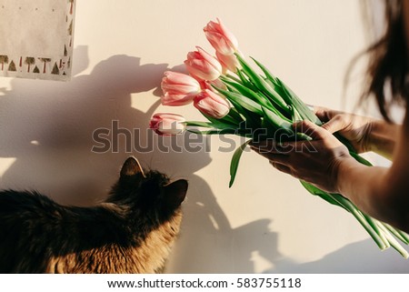 stylish hipster girl playing with her cute cat with tulips in morning in room. funny moments at home in soft sunny light in springtime. space for text