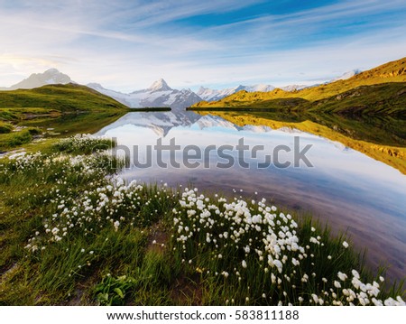 Great view of Bernese range above Bachalpsee lake. Dramatic and picturesque scene. Popular tourist attraction. Location place Swiss alps, Grindelwald valley, Europe. Artistic picture. Beauty world.