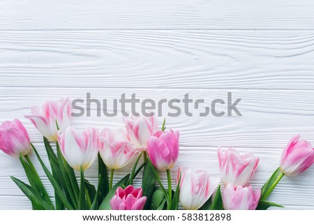 Wooden white background and pink tulips. Conception holiday, March 8, Mother's Day.