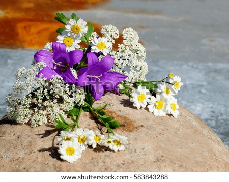Bouquet of meadow flowers