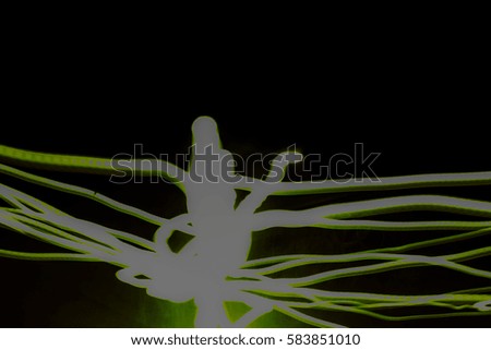 neon green abstract lines on black background