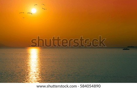 Amazing summer red dawn over blue sea