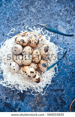 Quail eggs on a nest with blue feathers. Easter concept. Toned. Selective focus.
