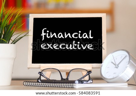 BUSINESS FINANCE OFFICE AND FINANCIAL EXECUTIVE CONCEPT