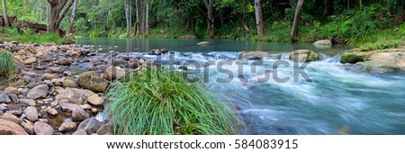 The Nerang River rises in the McPherson Range in the Numinbah Valley on the New South Wales and Queensland border and heads north. Nerang, Gold Coast, Queensland, Australia. Royalty-Free Stock Photo #584083915