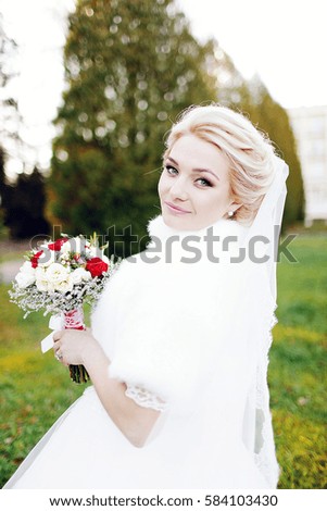 beautiful bride in a beautiful dress