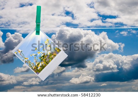 Blue sky with hanging photo of flowers