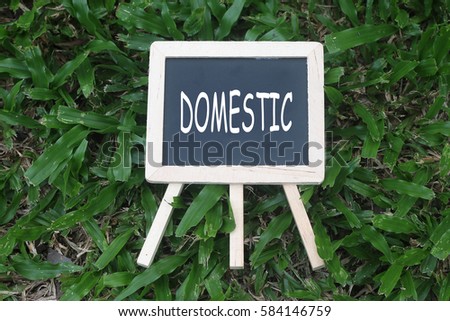 Mini Blackboard with word written 'DOMESTIC' on green grass background
