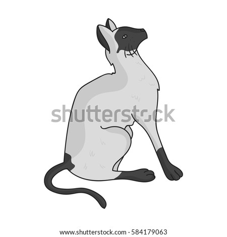 Siamese icon in monochrome style isolated on white background. Cat breeds symbol stock vector illustration.