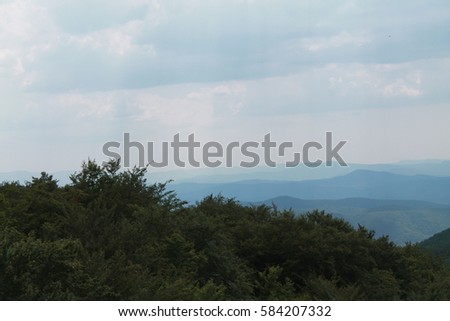 summer landscape of the mountain gave