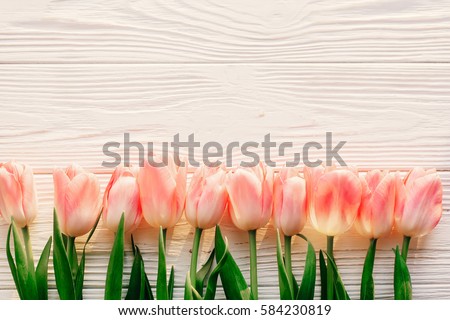 spring flat lay. pink tulips on white rustic wooden background flat lay. top view of flowers in soft morning sunlight with space for text. hello spring. banner and border Royalty-Free Stock Photo #584230819