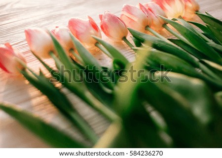 pink tulips on white rustic wooden background. spring  flowers in soft morning sunlight with space for text. hello spring. blogging concept