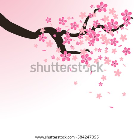 Isolated branch with flowers of sakura. Cartoon pink and white blossoms of Japanese cherry tree. Vector background  illustration.