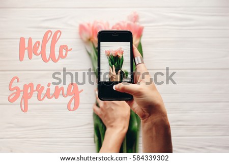 hello spring text sign, hand holding phone taking photo of stylish flower flat lay, pink tulips on white wooden rustic background. instagram blogging photographer concept. space for text 