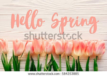 hello spring text sign, beautiful pink tulips on white rustic wooden background flat lay. flowers in soft morning sunlight with space for text. greeting card concept Royalty-Free Stock Photo #584353885