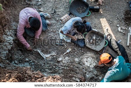 Paleontologist finding skeleton dinosaur  Royalty-Free Stock Photo #584374717