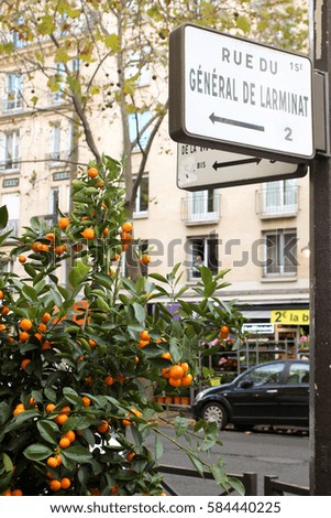 paris street signs, citrus trees