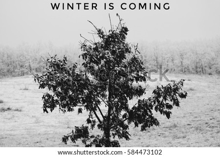 Winter is coming text with snowy tree in the background. Winter concept